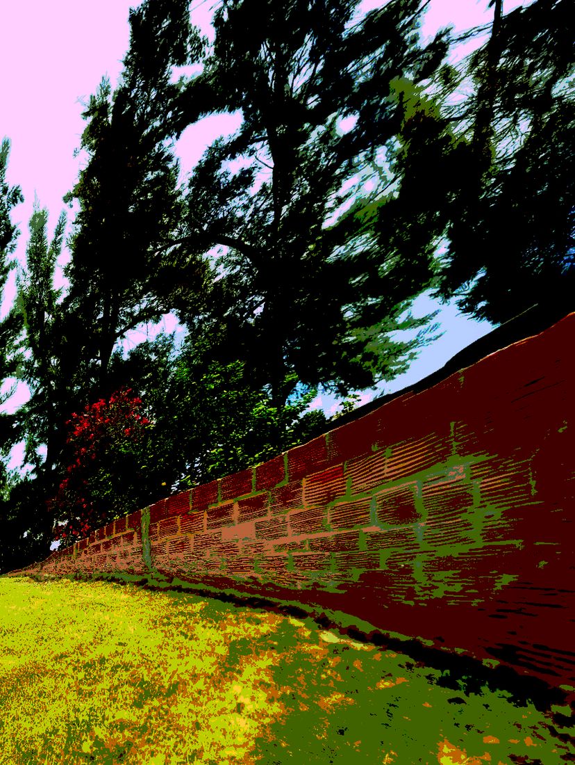 A red brick wall and a dark tree against a pale pink sky, over bright grass.